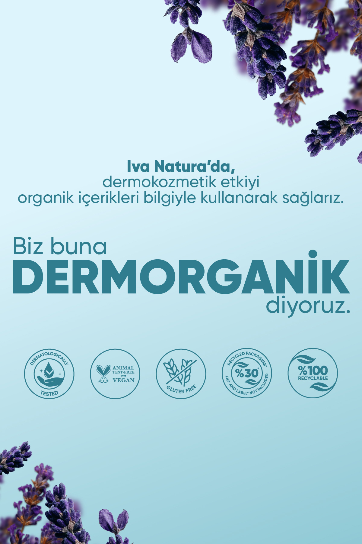 Yüz Temizleyici Nazik Arındırıcı Günlük Bakım. — IVN20 — تصویر 8 از 8
