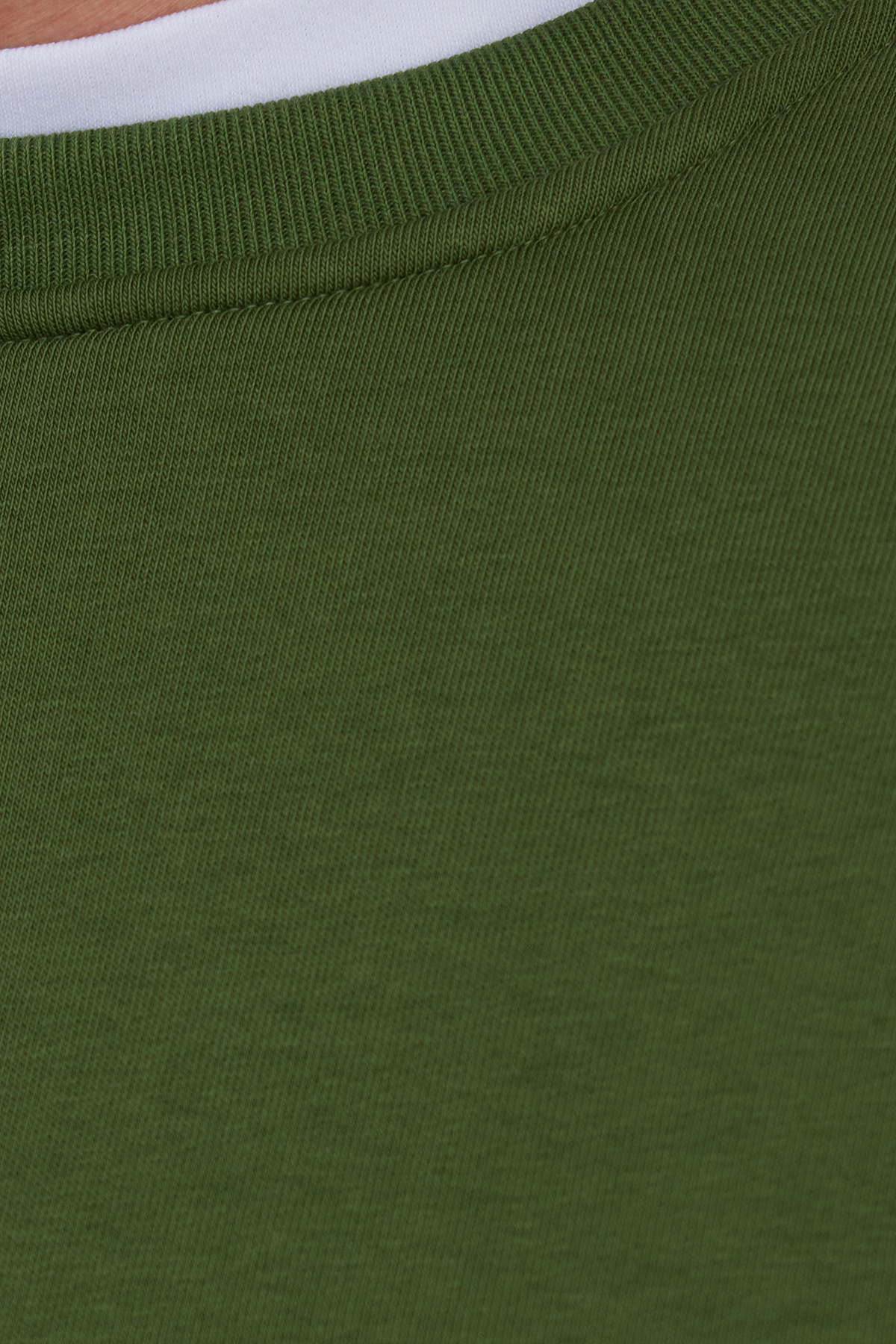 Tudors  Unisex Relax Fit Rahat Kesim Pamuklu Yumuşak Dokulu İçi Polarlı Basic Yeşil Bisiklet Yaka Sweatshirt - Görsel 4