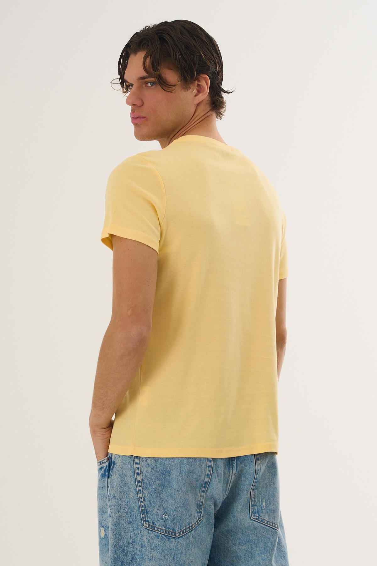 ALEXANDERGARDI Baskılı T-shirt görsel 3