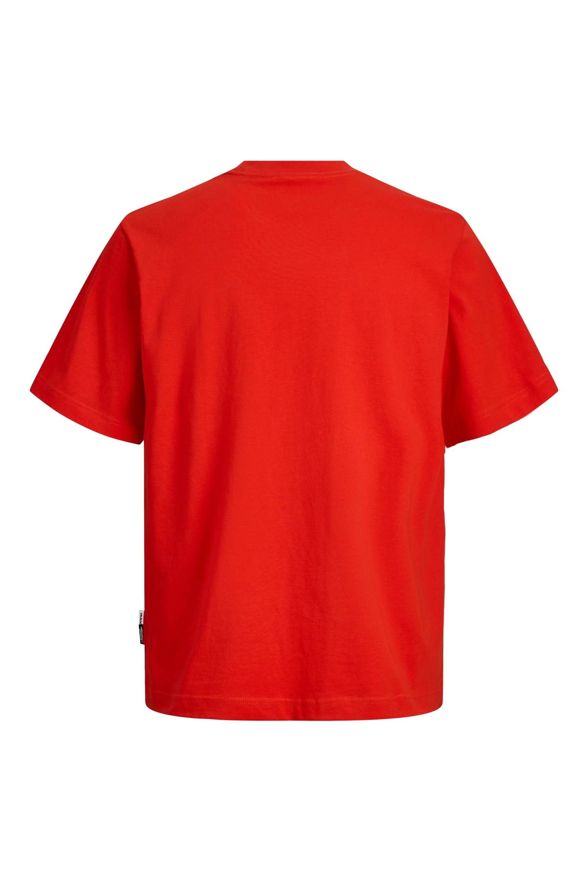 تیشرت مردانه طرح دار آستین کوتاه | جک اند جونز Jack & Jones 12289868 - تصویر 2