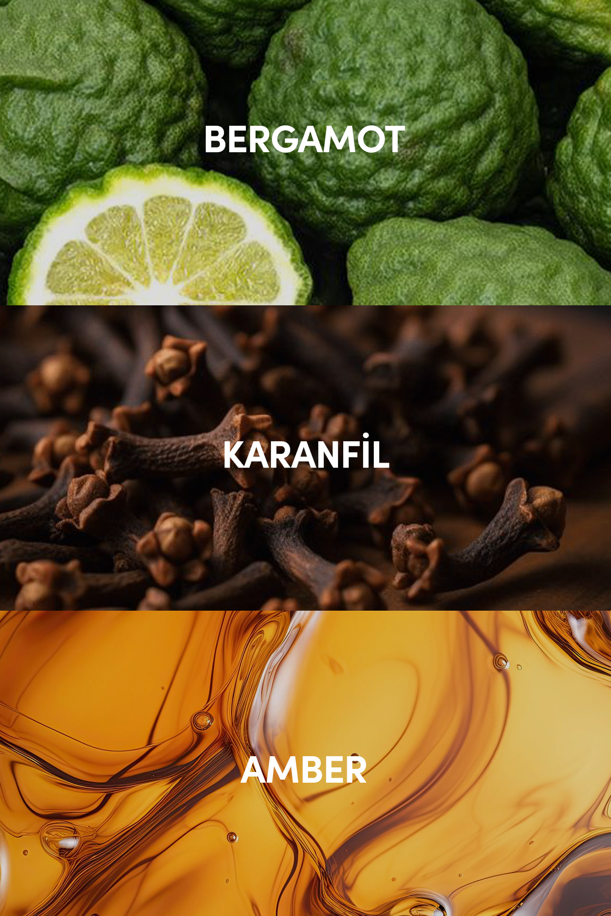 Ambre Edp Kadın Parfüm 50ml | Amber - Paçuli - Gül | Bergamot, Sedir, Karanfil, Vetiver — IPW005 — تصویر 5 از 9