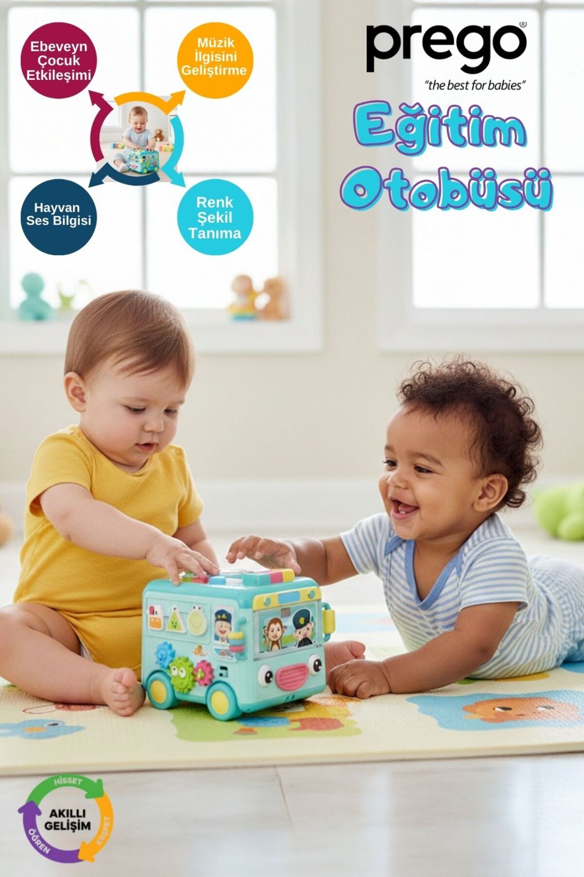 Prego Eğitim Otobüsü Mavi 1813 - Fiyatı, Yorumları