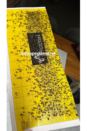 ucon EFT TRAP, sinek tutucu yapışkan (Sinek Cihazı için yapışkan plaka), sine...