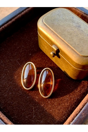ayoljewelry Vintage Gold Çerçeveli Kahverengi Çelik Küpe