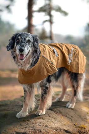 Hurtta Monsoon Coat II ECO Köpek Yağmurluğu
