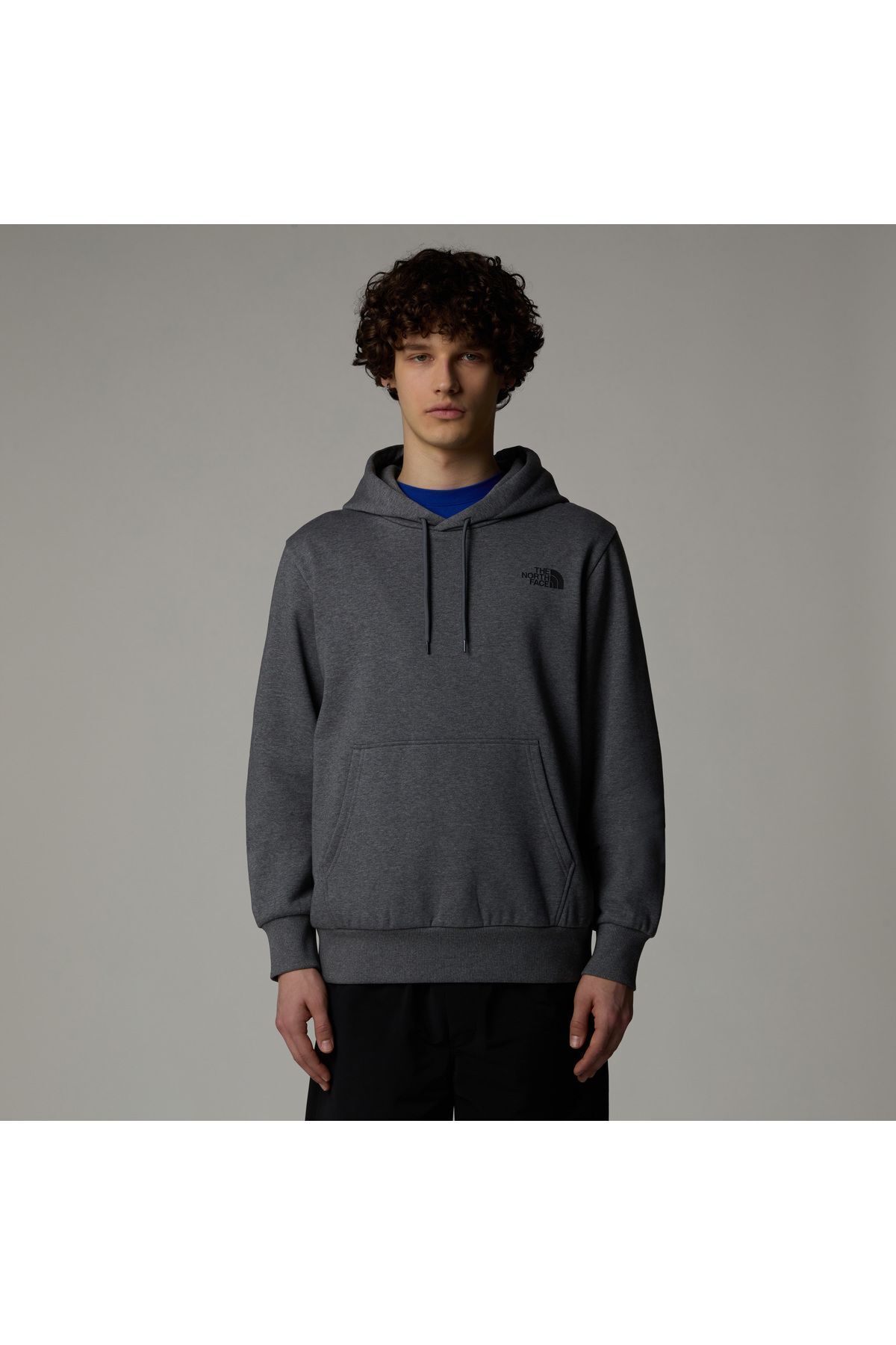 نورث فیس سویشرت مردانه خاکستری ساده مدل Dome Hoodie NF0A89FCDYY1