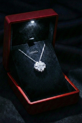 Parmas Design Işıklı Kutu İçinde Mıknatıslı Kalp Yapraklı Yonca Tasarım 925 A...