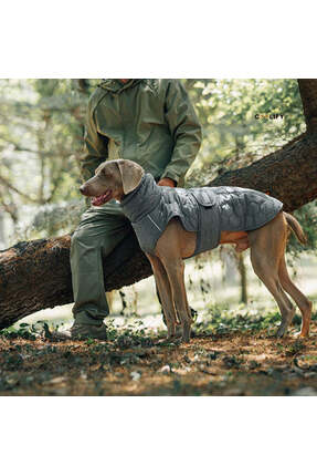 Coolify Polar Paw Köpek Yeleği