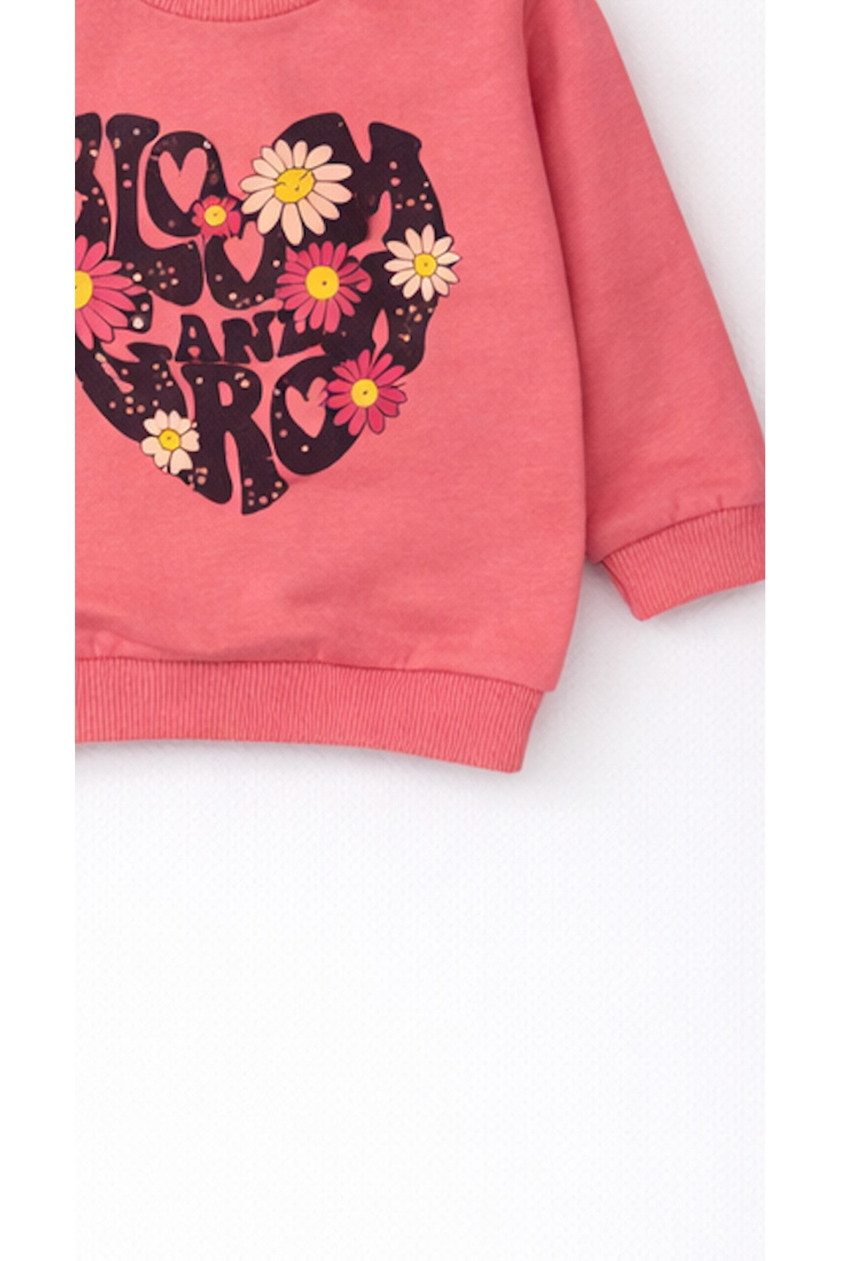 Hello Baby Kız Bebek Pamuklu Sweatshirt – Desenli Model fotoğrafı 3 (önizleme)