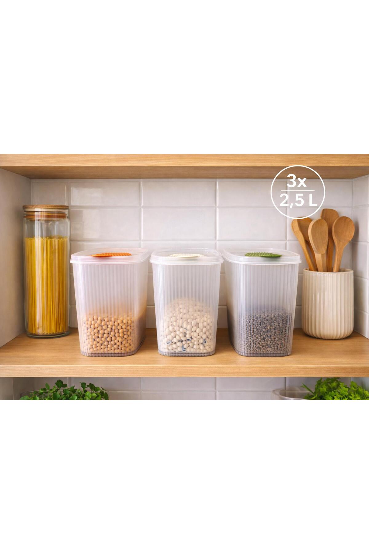 Set of 3 Provision Storage Containers 2.5 L