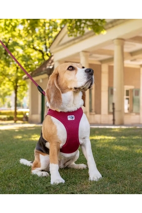 Curli Clasp Cord Göğüs T