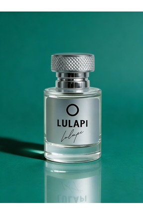LULAPİ PERFUME ATELİER M209 Invik Erkek Parfüm 50 ML