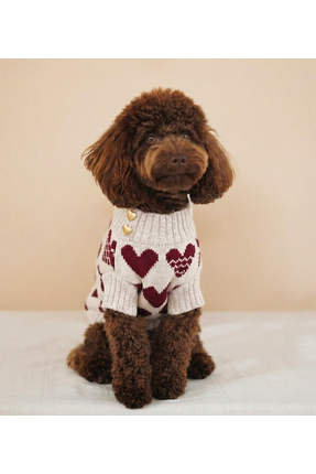 Lorico Kalpli Köpek Kazak - Bej