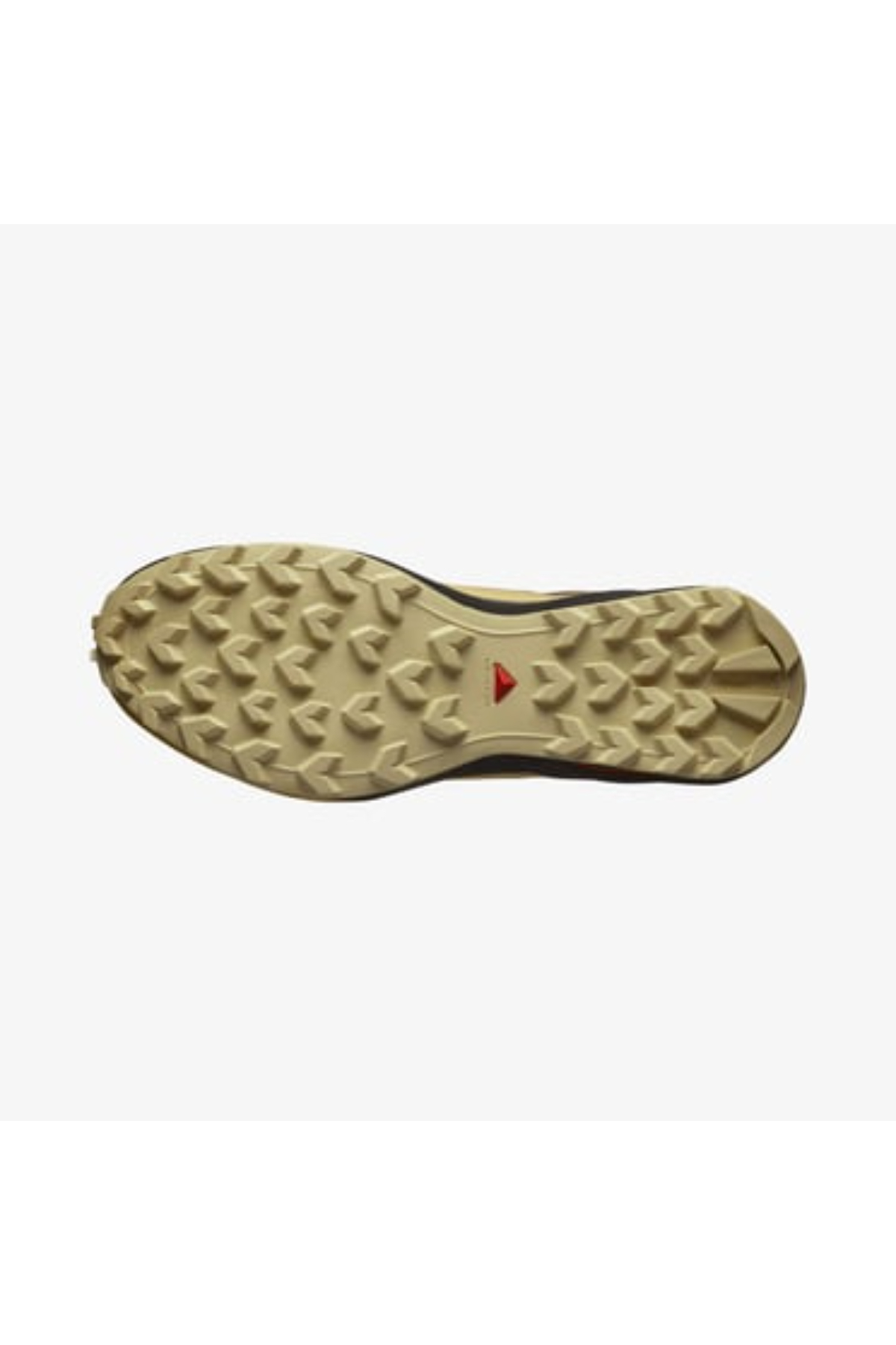 کتانی تمرین و دویدن مردانه راسته | سالومون Salomon L47853100 - تصویر 6