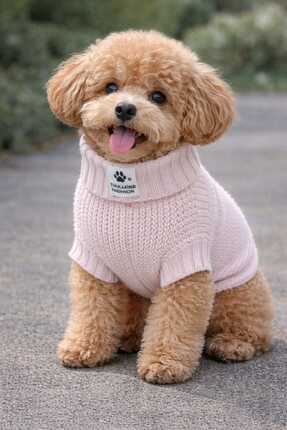 faramiss fashion SELANİK ÖRGÜ PEMBE TEK RENK KÖPEK KIYAFETİ KÖPEK KAZAĞI KEDİ...