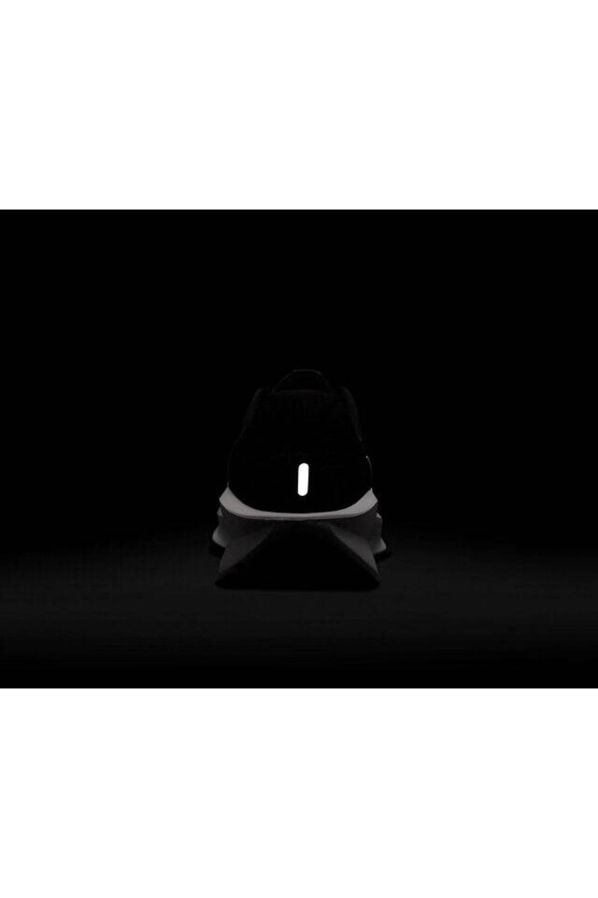 داون شيفتر 13