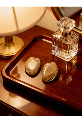 ayoljewelry Gold Detaylı Çelik Küpe