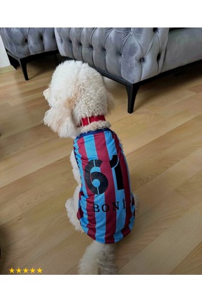 Onyx İsim ve numara yazılabilen kedi ve köpek kıyafeti çubuklu forması