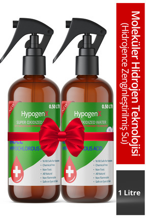 Dolar Kimya HypogenX Genel Temizlik Solüsyonu - 1 Litre Sprey Başlıklı (Hipok...