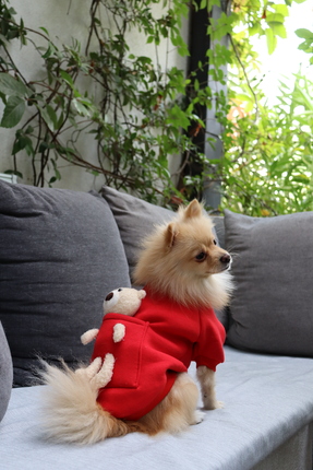 mardog Kedi ve köpek oyuncaklı elbise