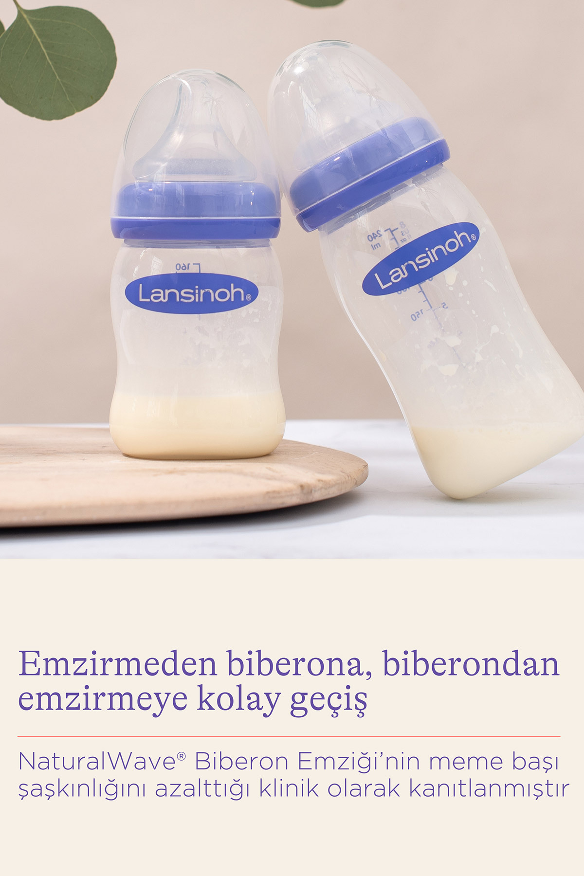 LANSINOH Pp Biberon 160ml fotoğrafı 2 (önizleme)