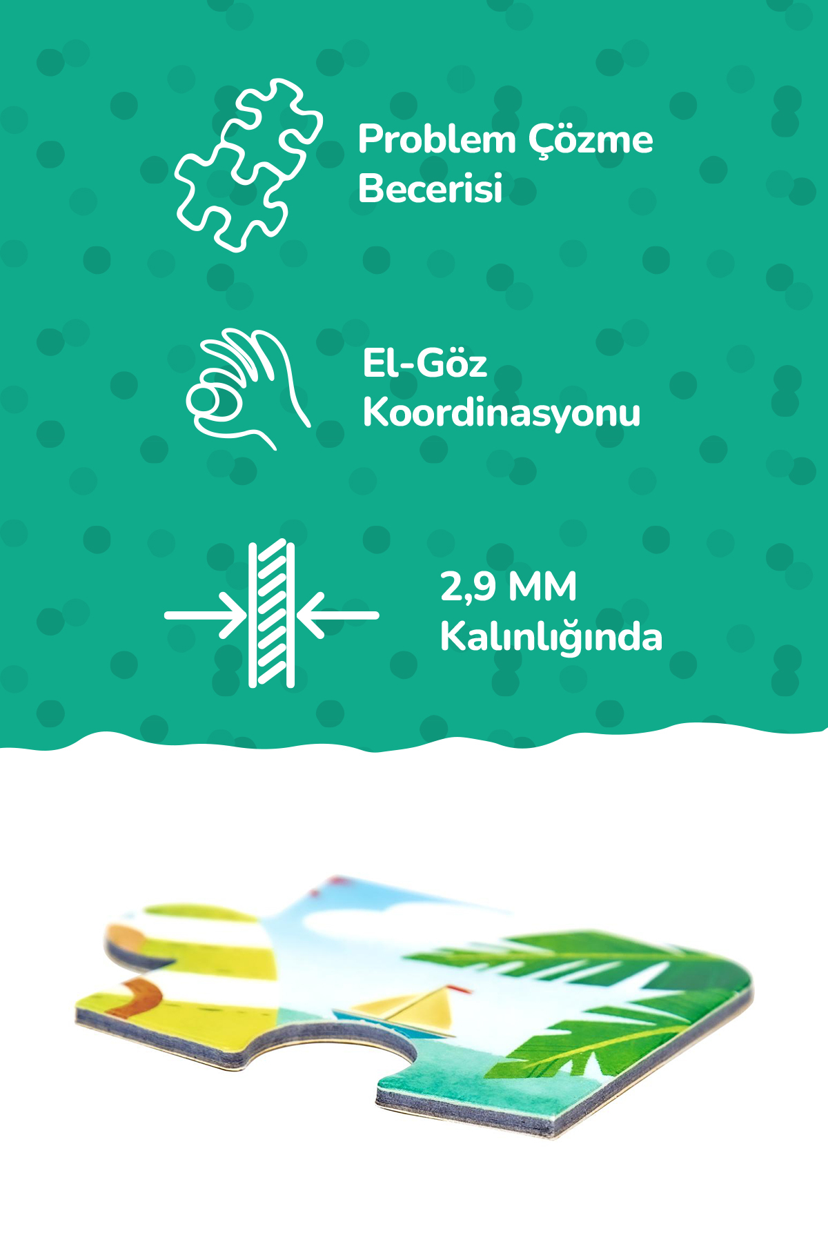 Circle Toys Dört Mevsim Puzzle +24ay , 4 farklı puzzle fotoğrafı 3 (önizleme)