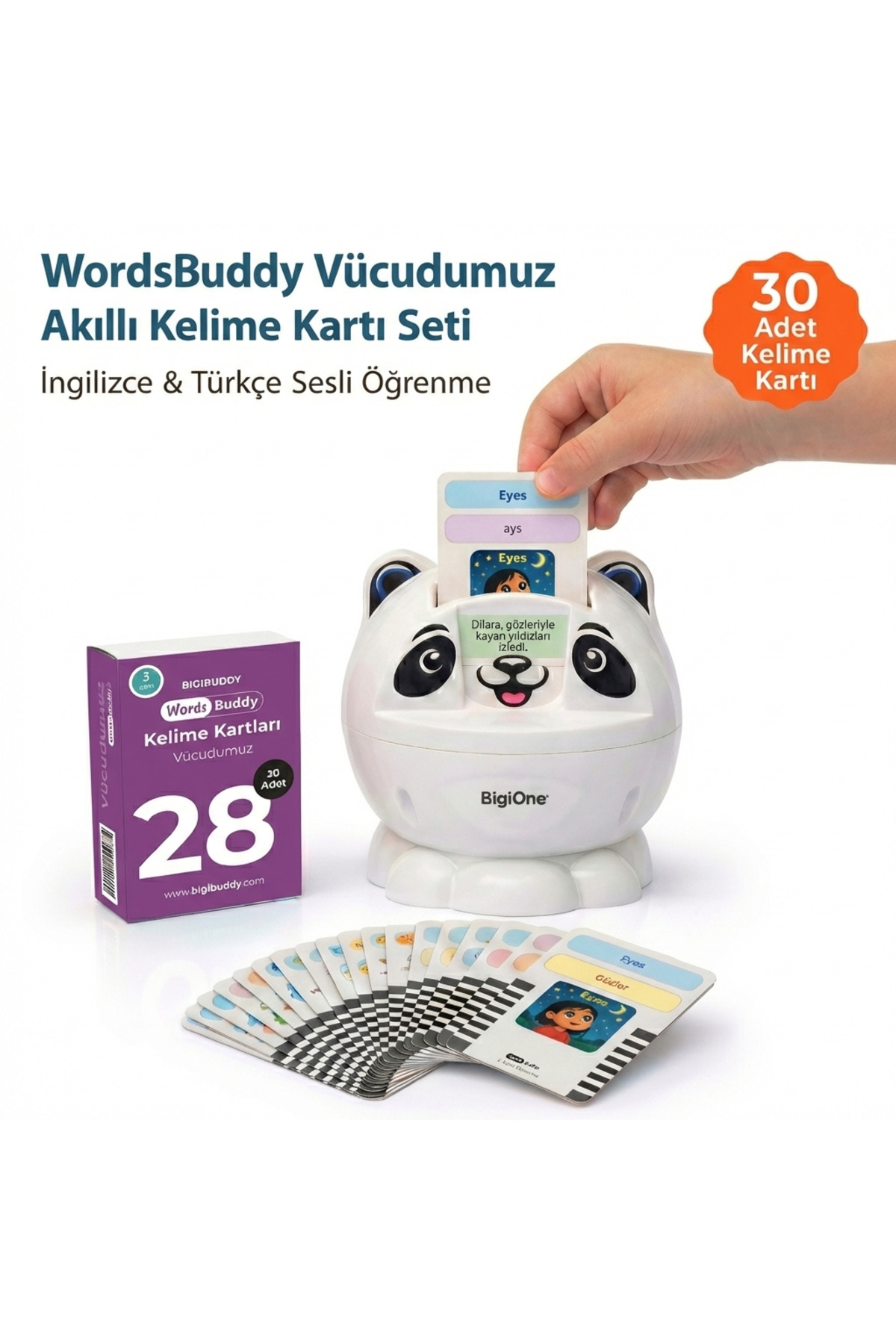 Bigibuddy İngilizce Türkçe Eğitici Sesli Kelime Kartı WordsBuddy Vücüdumuz 28 (BigiOne İle Çalışır) fotoğrafı 2 (önizleme)