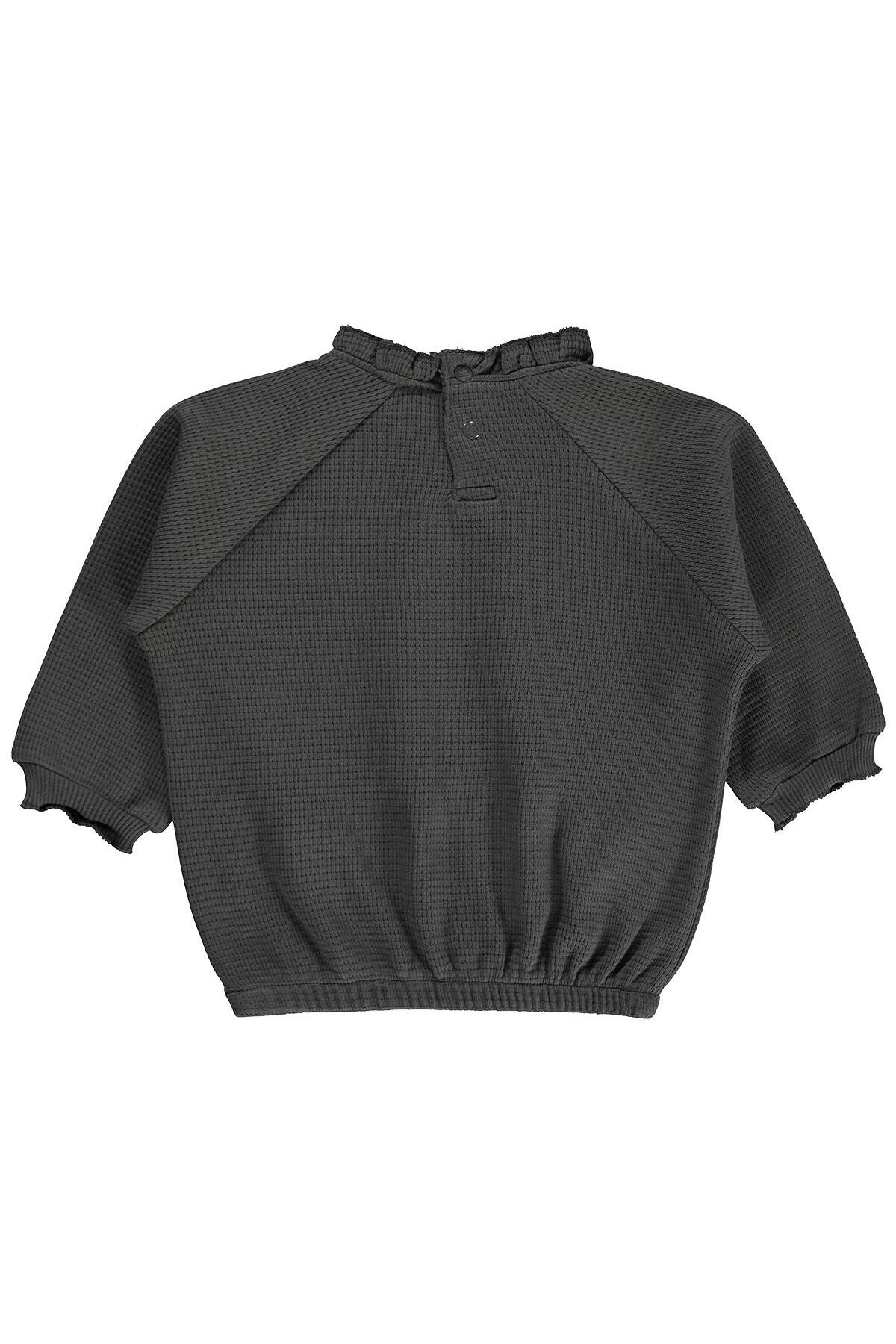 Civil Baby Uğur Böceği Nakışlı 6-18 Ay Sweatshirt - Gri 18-24 Ay fotoğrafı 2 (önizleme)