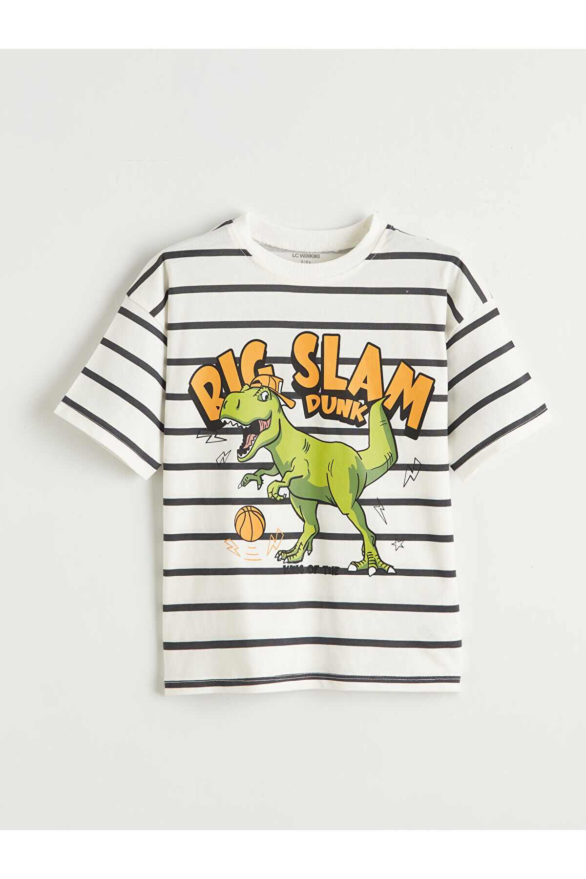 LC Waikiki Elsiva Collection Ekru Baskılı Erkek Çocuk Tişört ve Şort fotoğrafı 2 (önizleme)