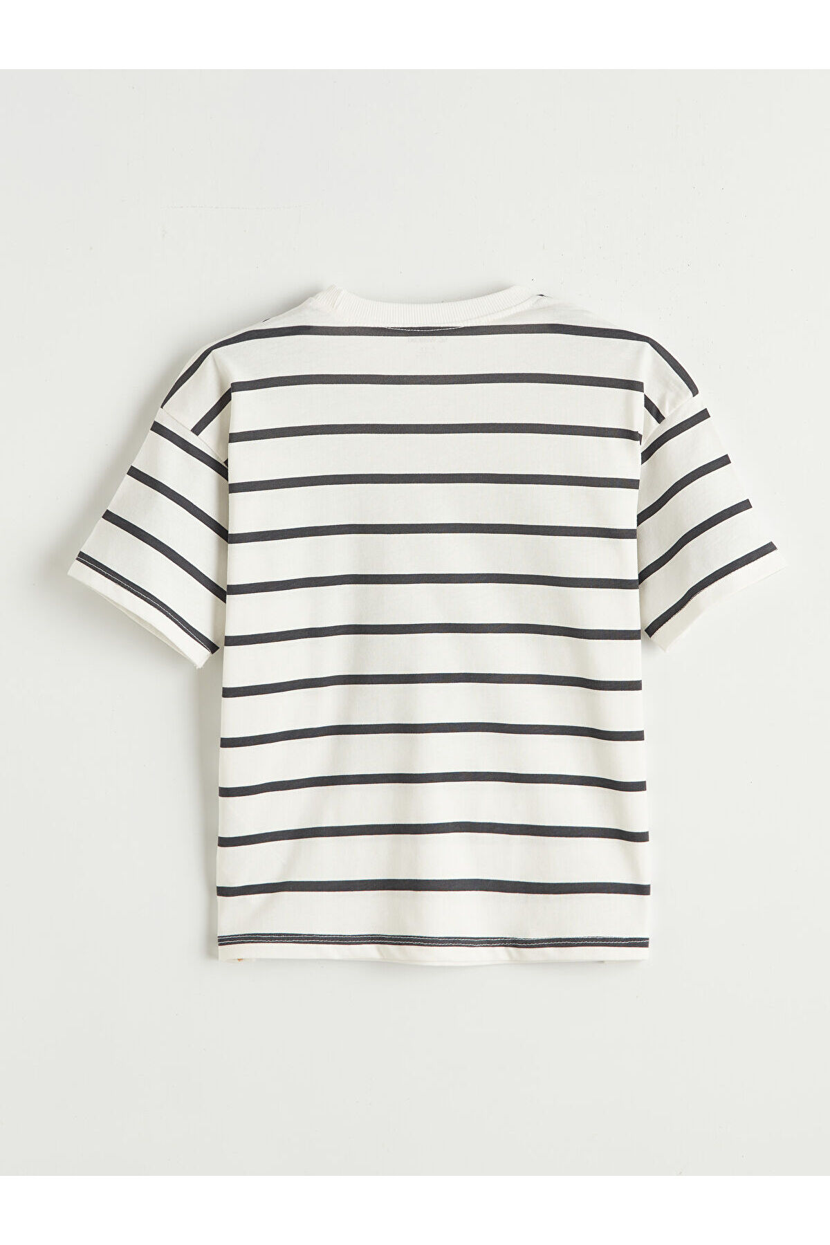 LC Waikiki Elsiva Collection Ekru Baskılı Erkek Çocuk Tişört ve Şort fotoğrafı 3 (önizleme)