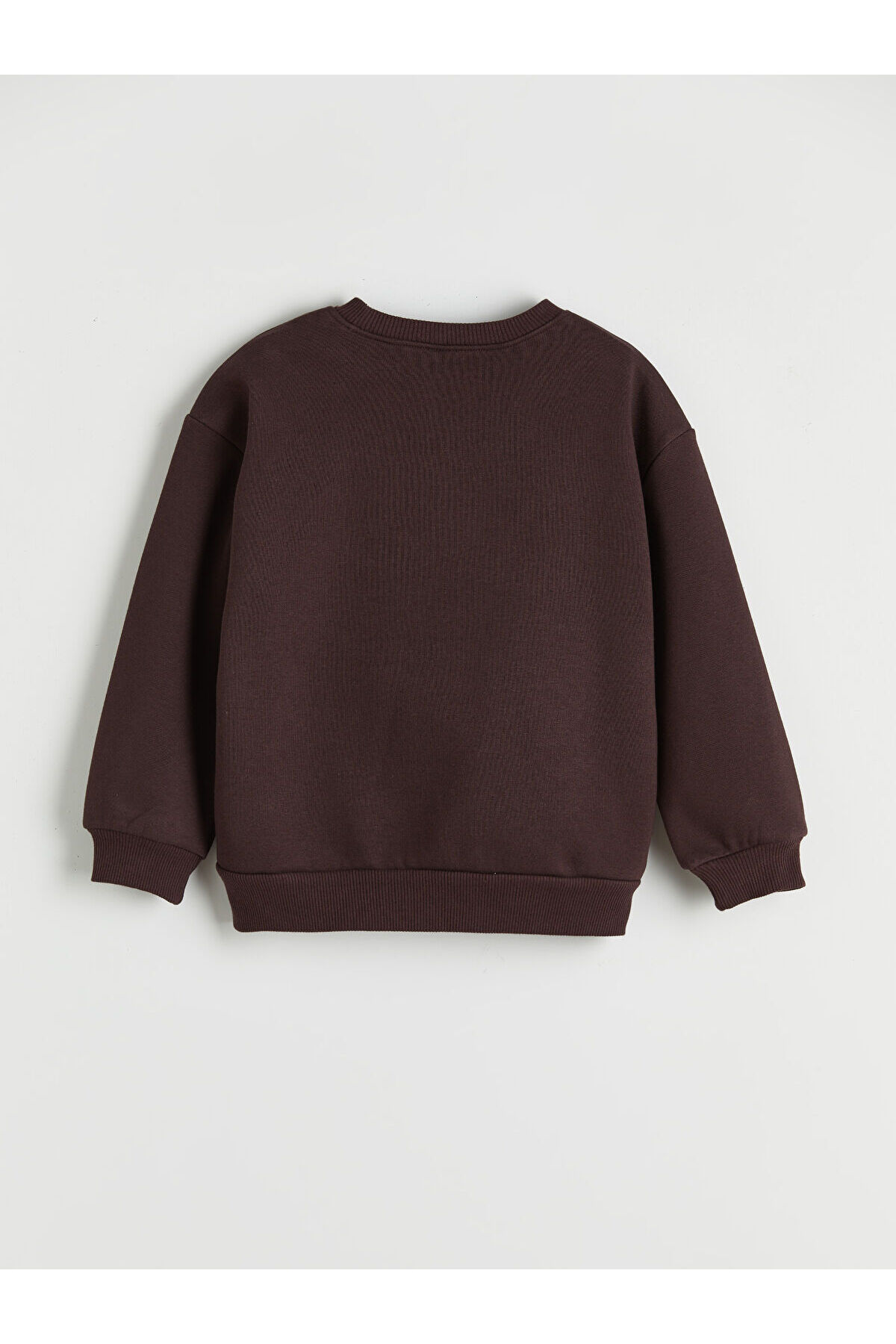 LC Waikiki Nevaa Collection Mürdüm Bisiklet Yaka Nakışlı Erkek Çocuk Kalın Sweatshirt fotoğrafı 2 (önizleme)