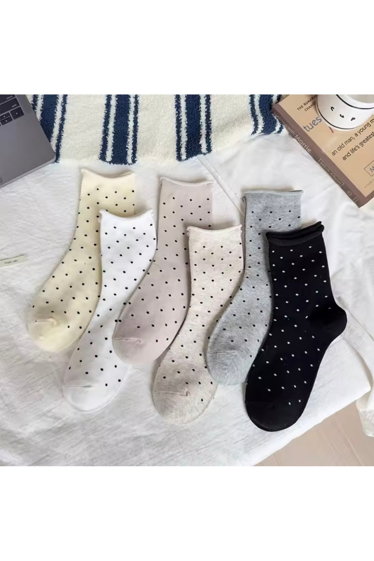 Çorap Kurdu 6’lı Ekonomik Paket Puantiyeli Kadın Soket Çorap Set