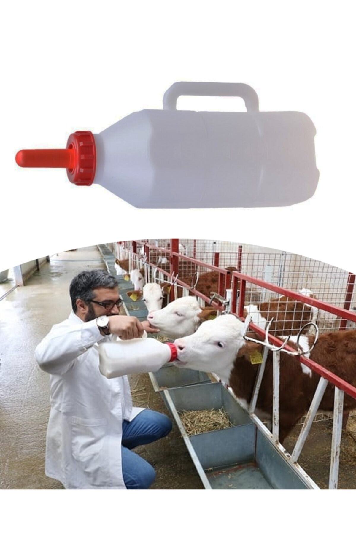 özgürce 2.5 Litre Bebe Biberonu, Sağlıklı ve Güvenli Süt Besleme fotoğrafı 2 (önizleme)