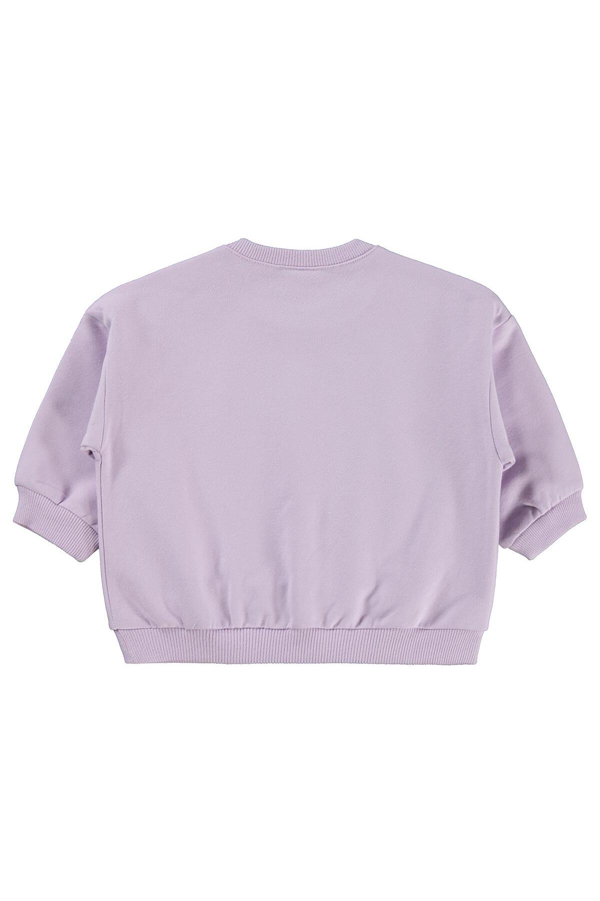 Civil Baby Civil Basic Kalp Etiketli 6-18 Ay Sweatshirt - Lila 9-12 Ay fotoğrafı 2 (önizleme)