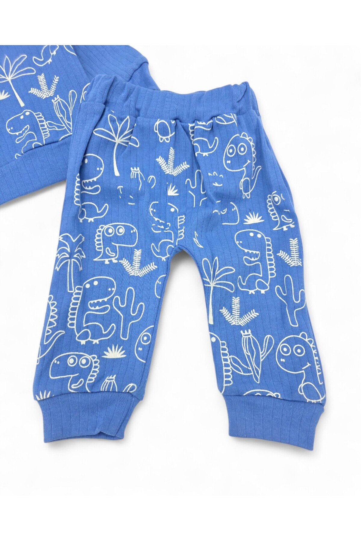 Egelite Erkek Bebek Takımı Mevsimlik Uzun Kollu Bisiklet Yaka Dinazor Baskılı Fitilli Alt Üst Bebek Takımı fotoğrafı 6 (önizleme)