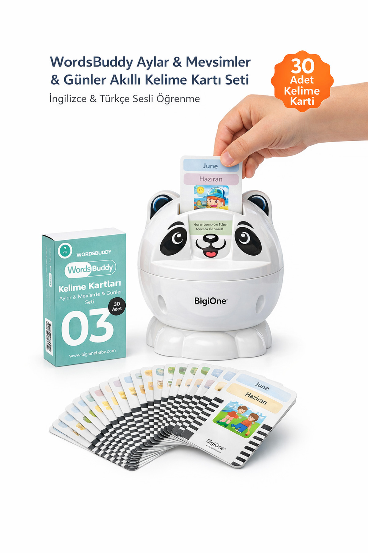 Bigibuddy İngilizce Türkçe Eğitici Sesli Kelime Kartı WordsBuddy Aylar Mevsimler 03 (BigiOne İle Çalışır) fotoğrafı 2 (önizleme)