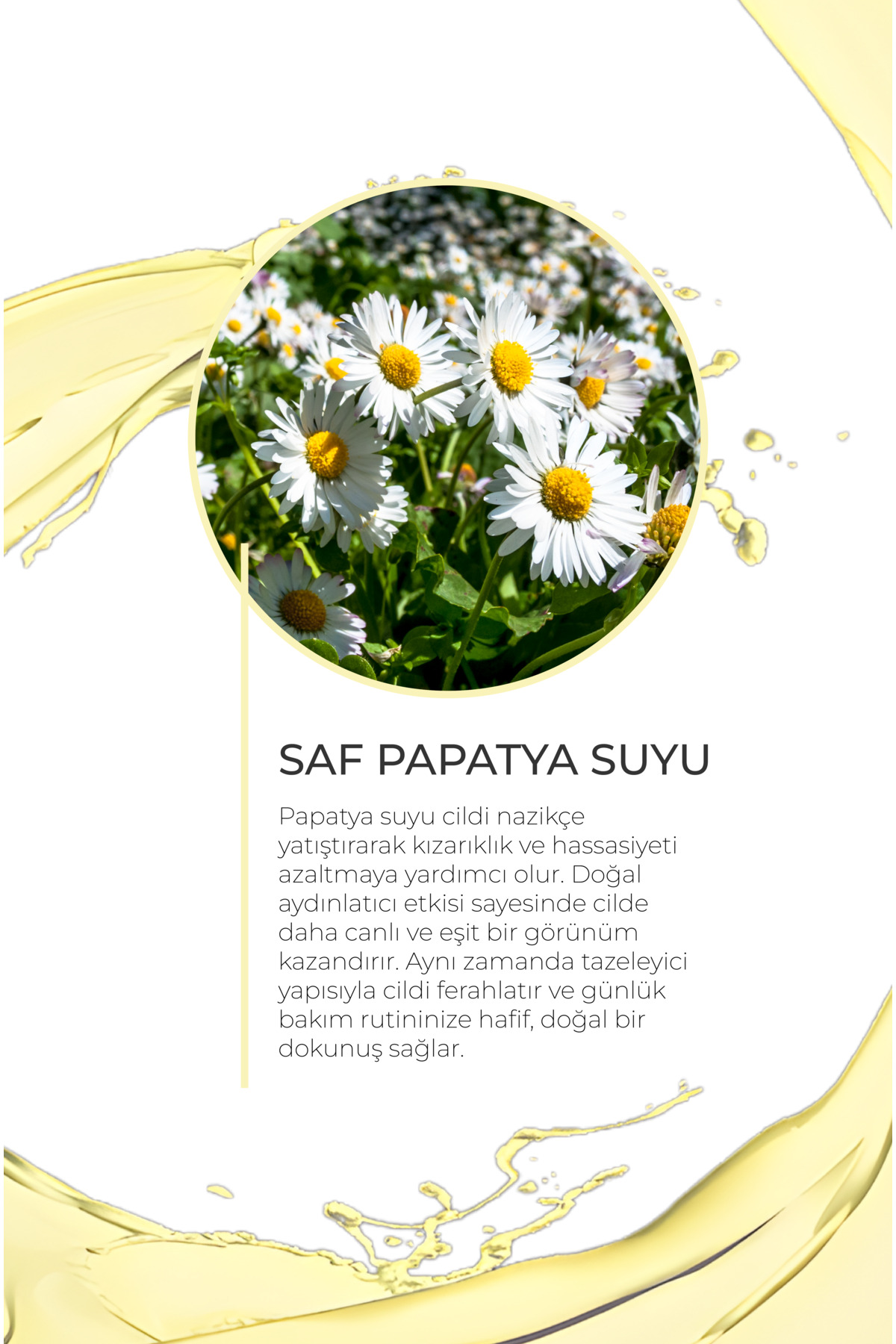 Papatya Suyu Saç Toniği Doğal ve Saf Papatya Suyu Saç Açıcı Sprey Nem Desteği — saç-için-papatya-suyu-aydınlatıcı-tonik — تصویر 6 از 9