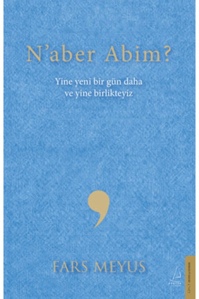 Destek Yayınları N'aber Abim? / Fars Meyus / / 9786258594089