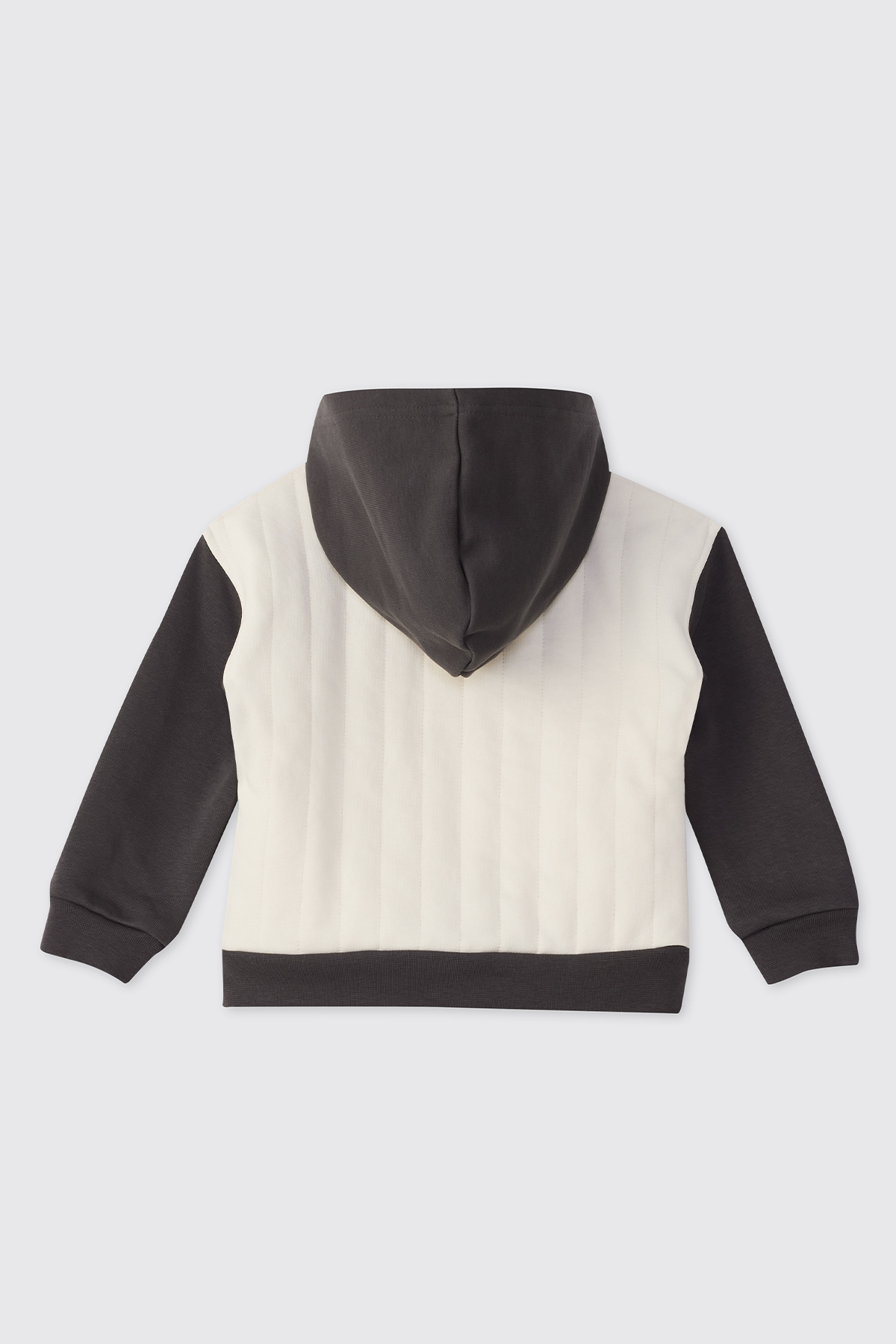 Panço Erkek Bebek Dinozor Baskılı Antrasit Sweatshirt fotoğrafı 2 (önizleme)