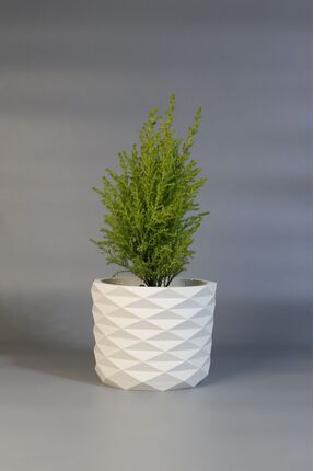 Lea Concept Terra Facet Büyük Boy Dekoratif Beton Saksı