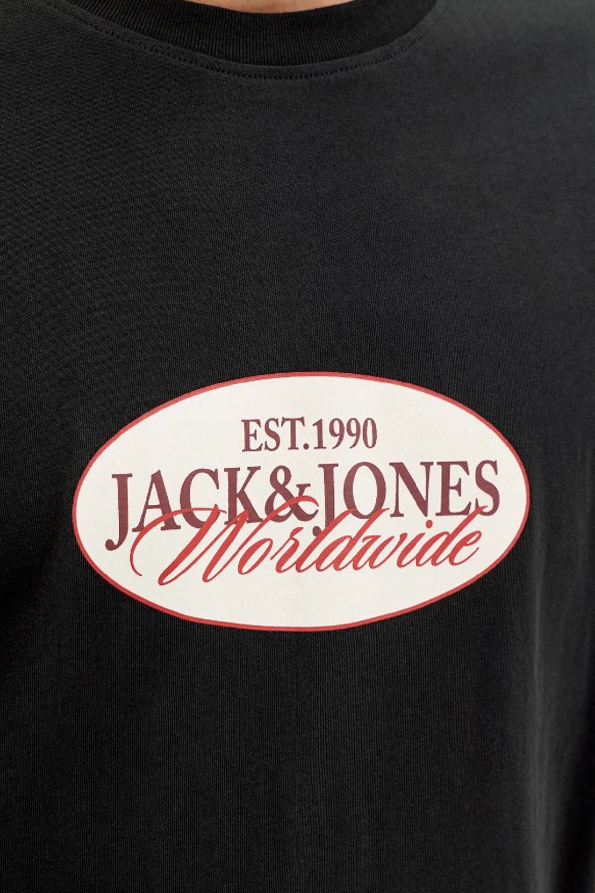 تیشرت مردانه رنگارنگ آستین کوتاه | جک اند جونز Jack & Jones TYCDF271E04646ACB6A604B00 - تصویر 3