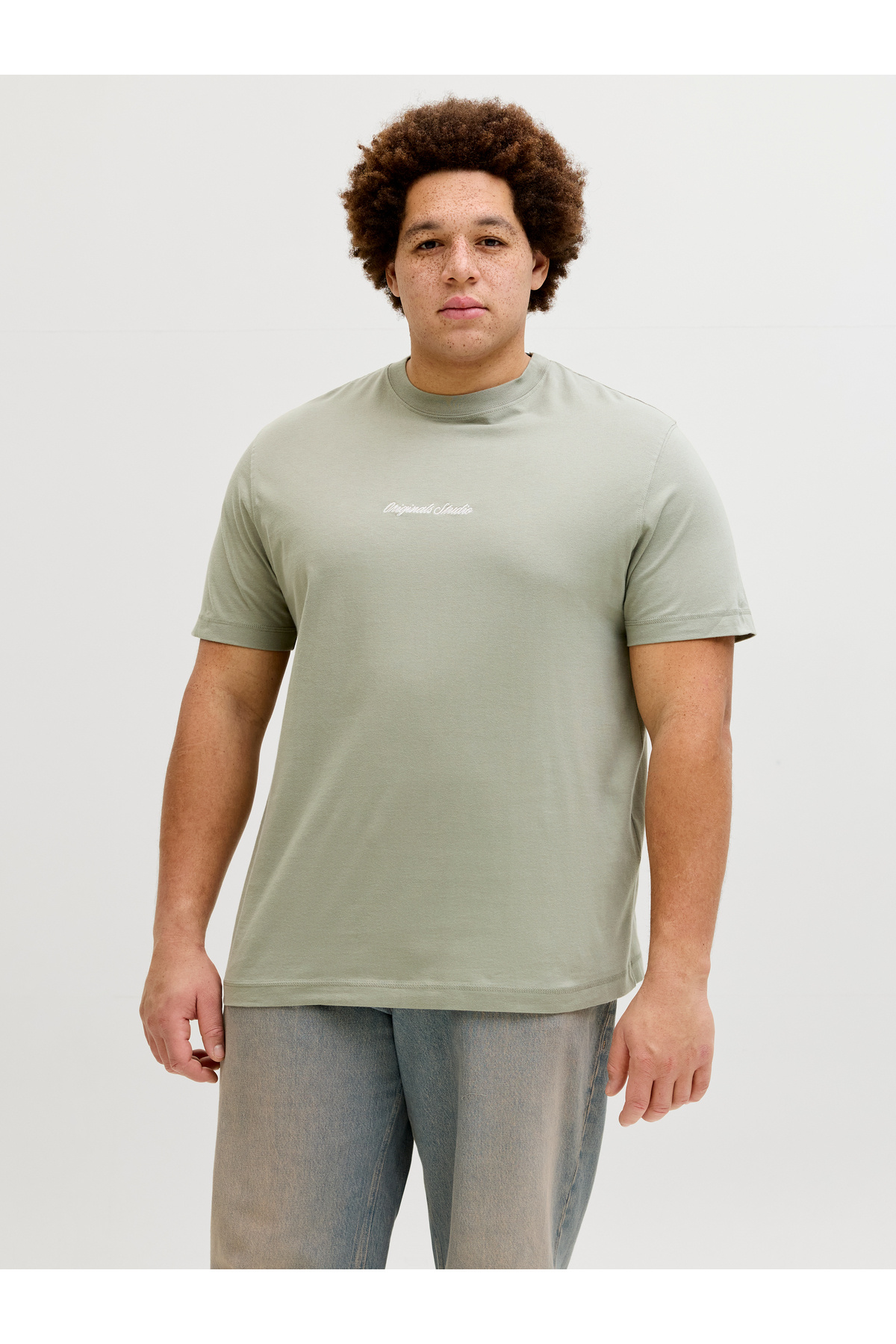 جک اند جونز تی شرت مردانه جک جونز مدل Jornorrebro Emb Tee SS Crew Neck Pls سبز سایز بزرگ 12284161-06