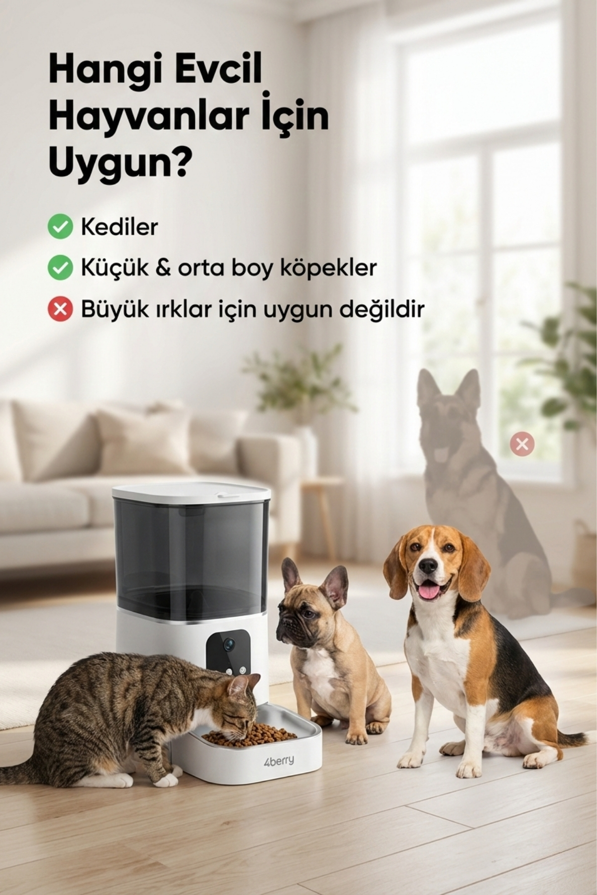 4 Berry Otomatik Mama Kabı WiFi Kontrollü 6L – Akıllı Kedi & Köpek Mama Makinesi fotoğrafı 2 (önizleme)