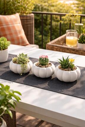 nilux Premium Balkabağı Sukulent Saksı Seti 3'lü Obje Salon Mutfak Balkon Dek...