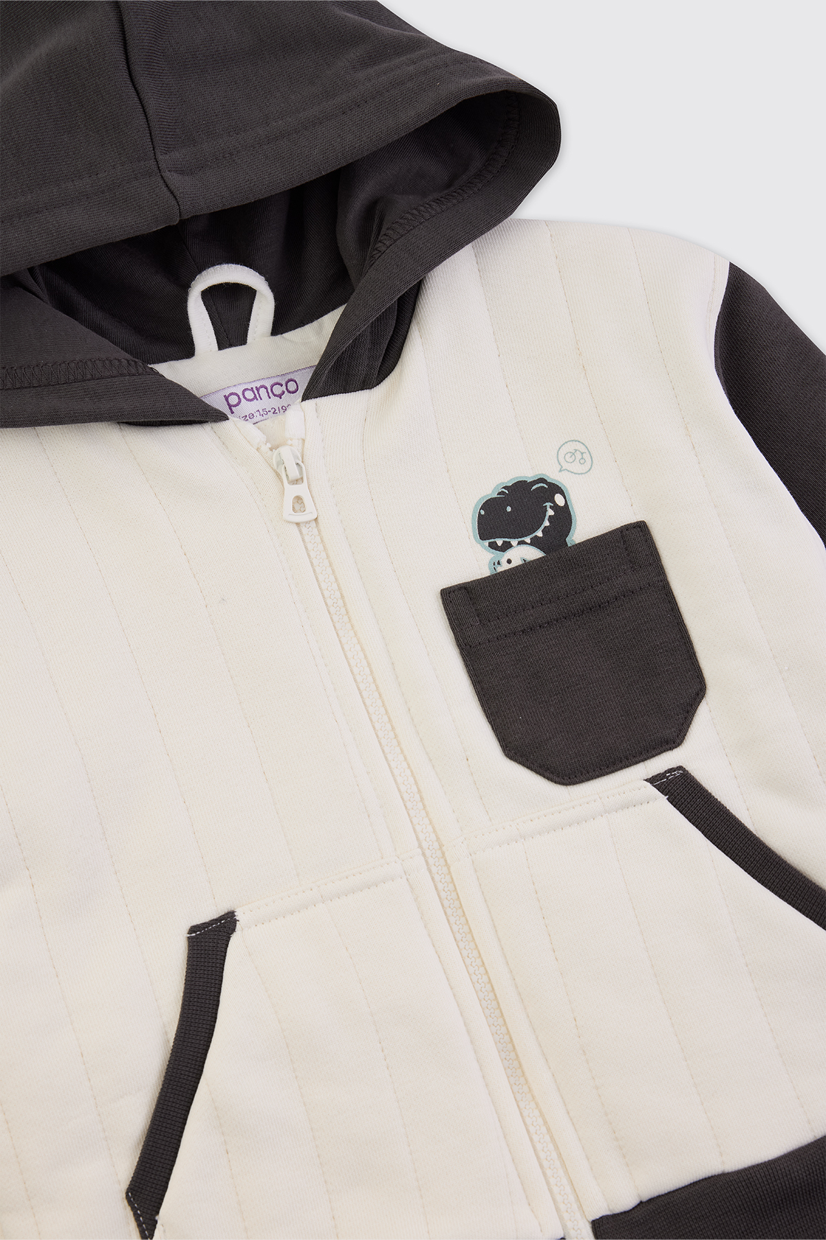 Panço Erkek Bebek Dinozor Baskılı Antrasit Sweatshirt fotoğrafı 3 (önizleme)