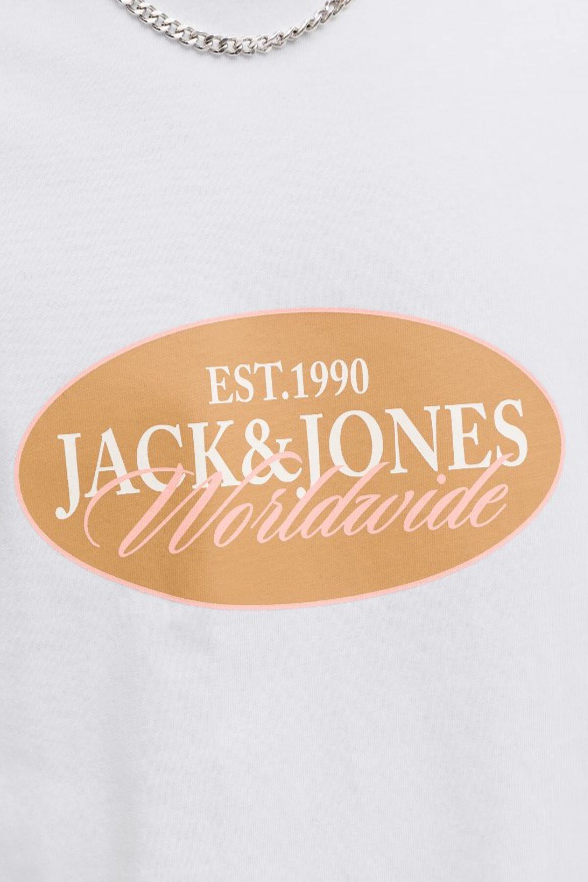تیشرت مردانه رنگارنگ آستین کوتاه | جک اند جونز Jack & Jones TYCDF271E04646ACB6A604B00 - تصویر 3