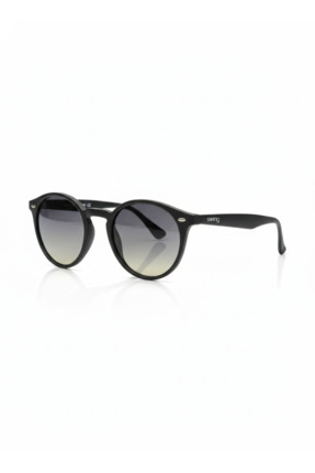 Swing 220 C193 49 Yeşil Degrage Cam Unisex Güneş Gözlüğü