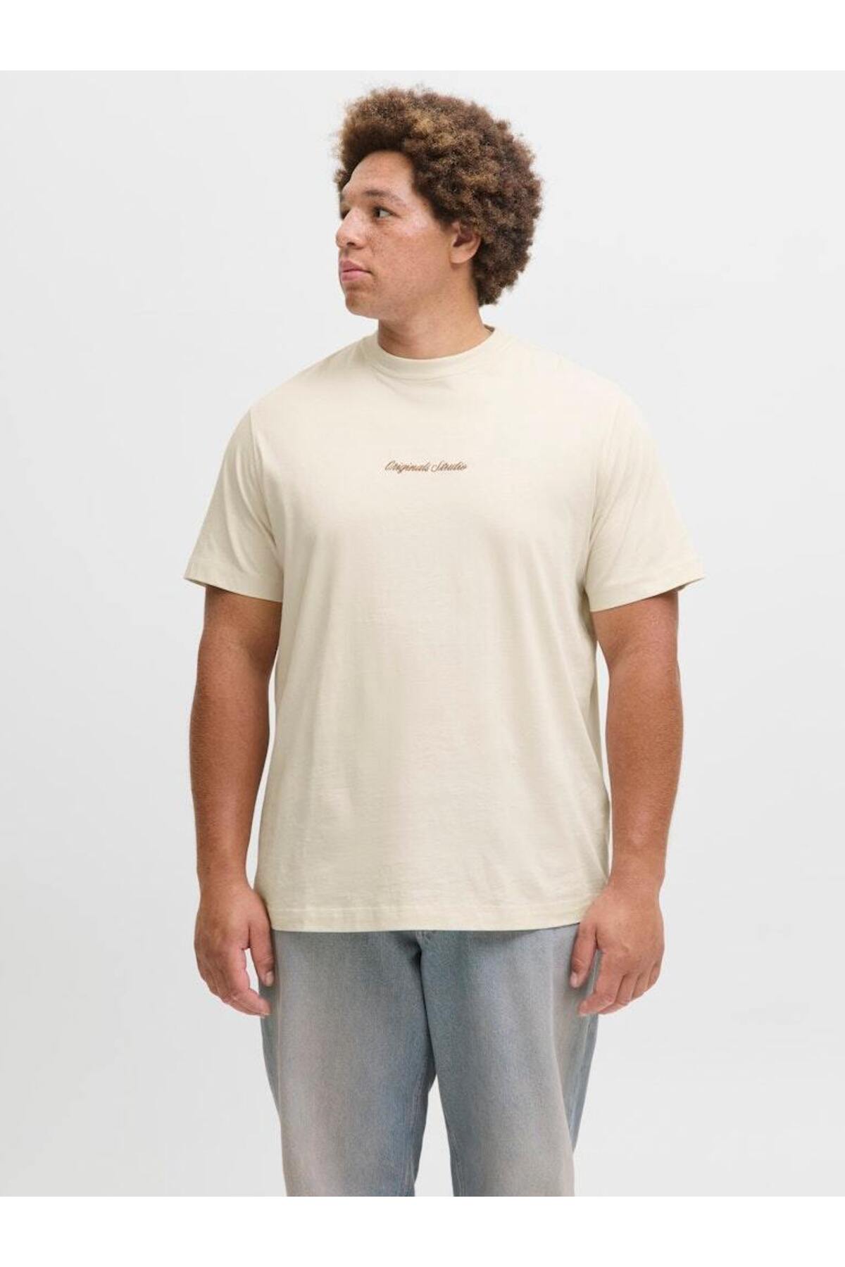 تیشرت مردانه راسته آستین استاندارد | جک اند جونز Jack & Jones 12284161 - تصویر 2