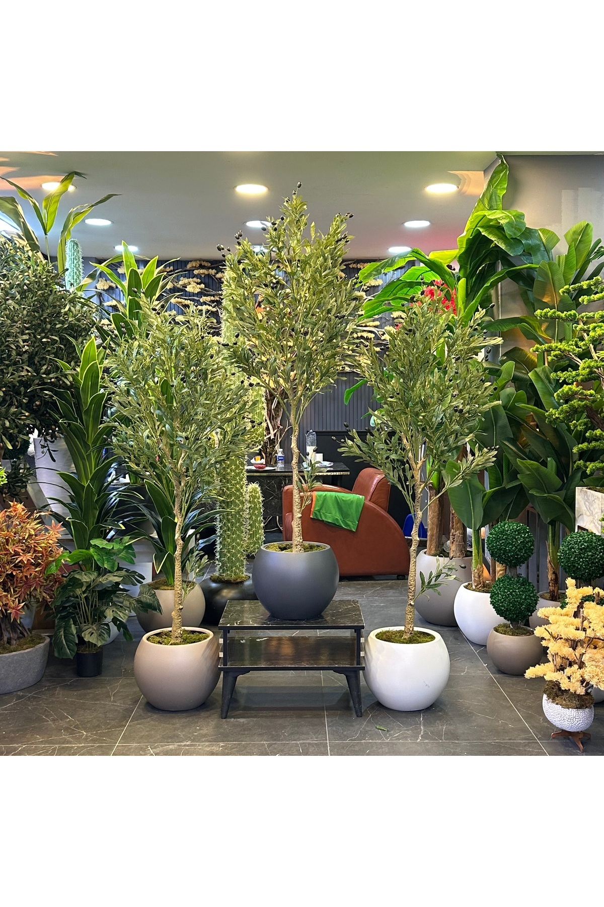 常緑樹 RARA Adayapaycicek Yapay ağaç zeytin ağacı 165 cm - Fiyatı, Yorumları