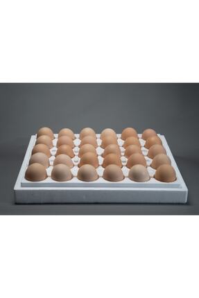 Agsu Köy Yumurtası 30 Adet